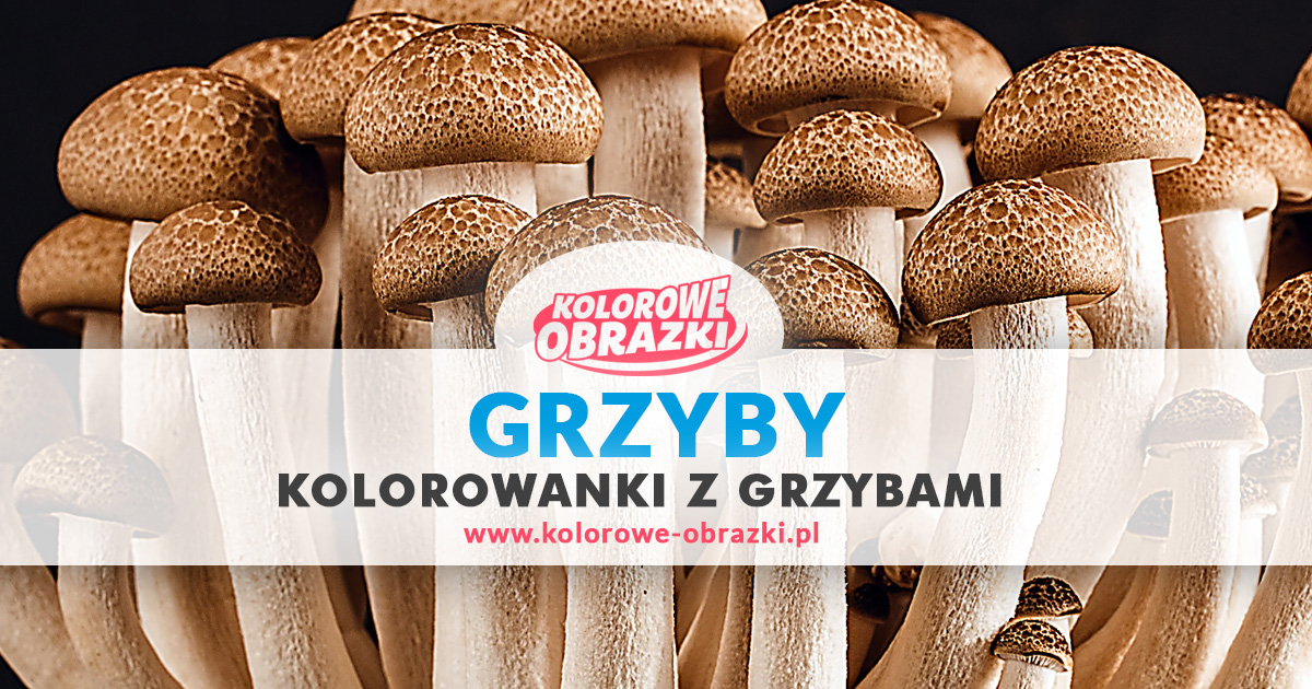 Kolorowanki grzyby - Kolorowanki z grzybami dla dzieci