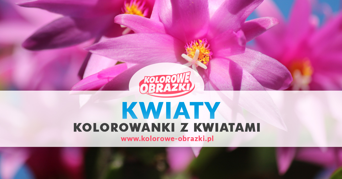 Kolorowanki kwiaty - Kolorowanki z kwiatami dla dzieci