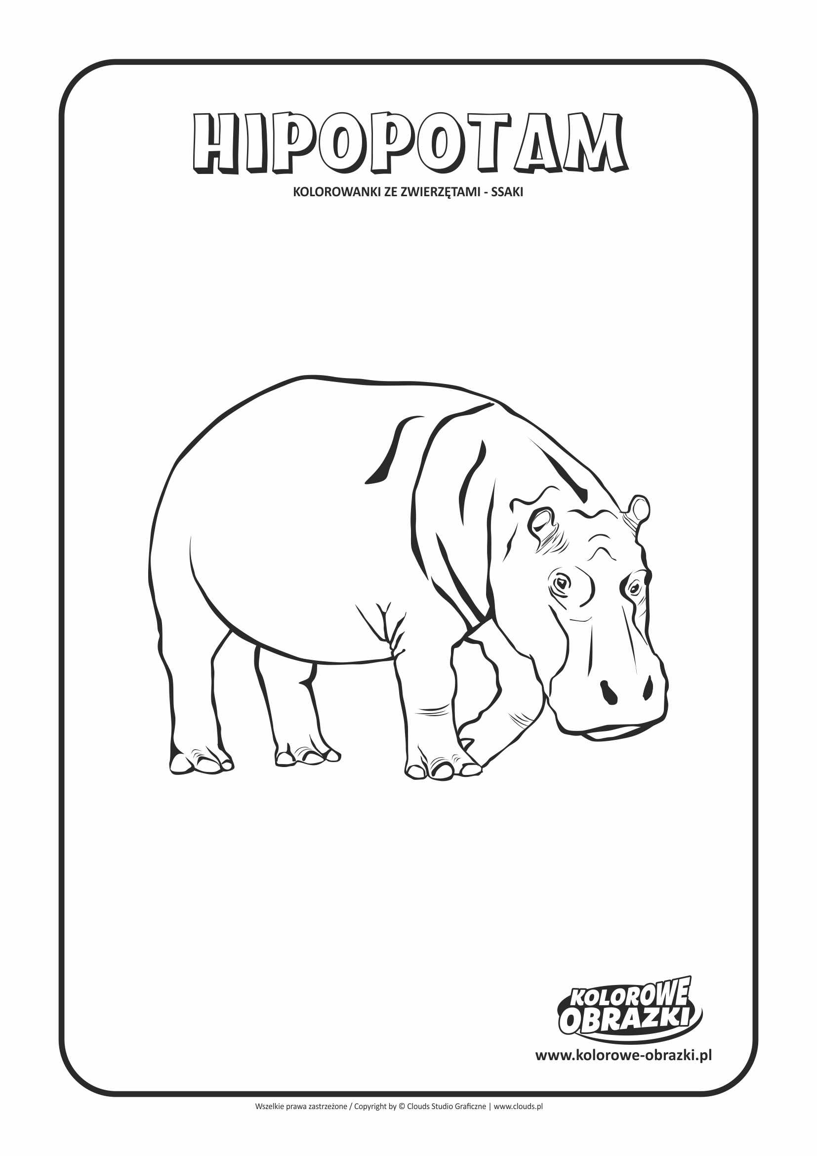 Kolorowanki dla dzieci - Zwierzęta / Hipopotam, Kolorowanka z hipopotamem