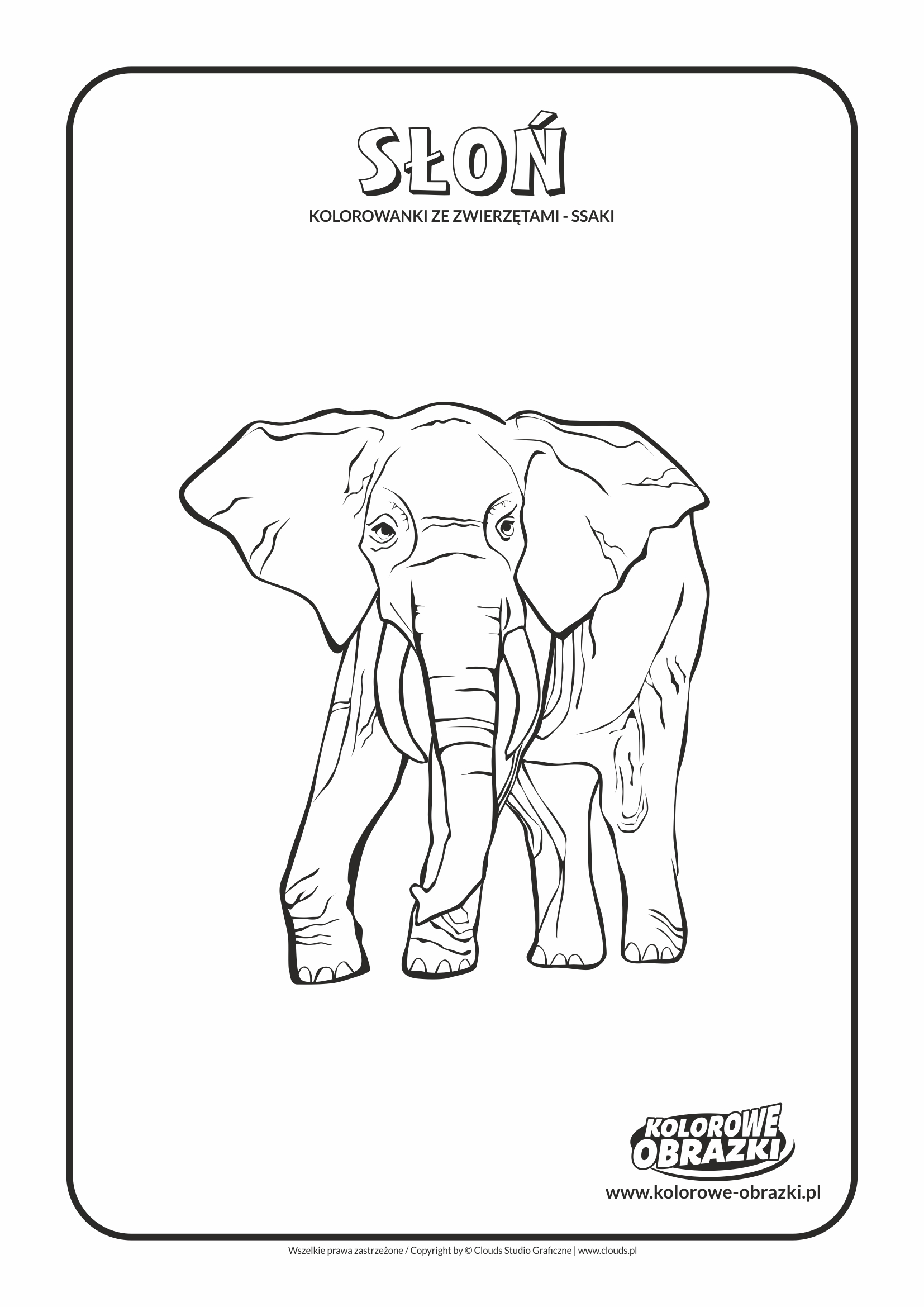 Kolorowanki dla dzieci - Zwierzęta / Słoń, Kolorowanka ze słoniem