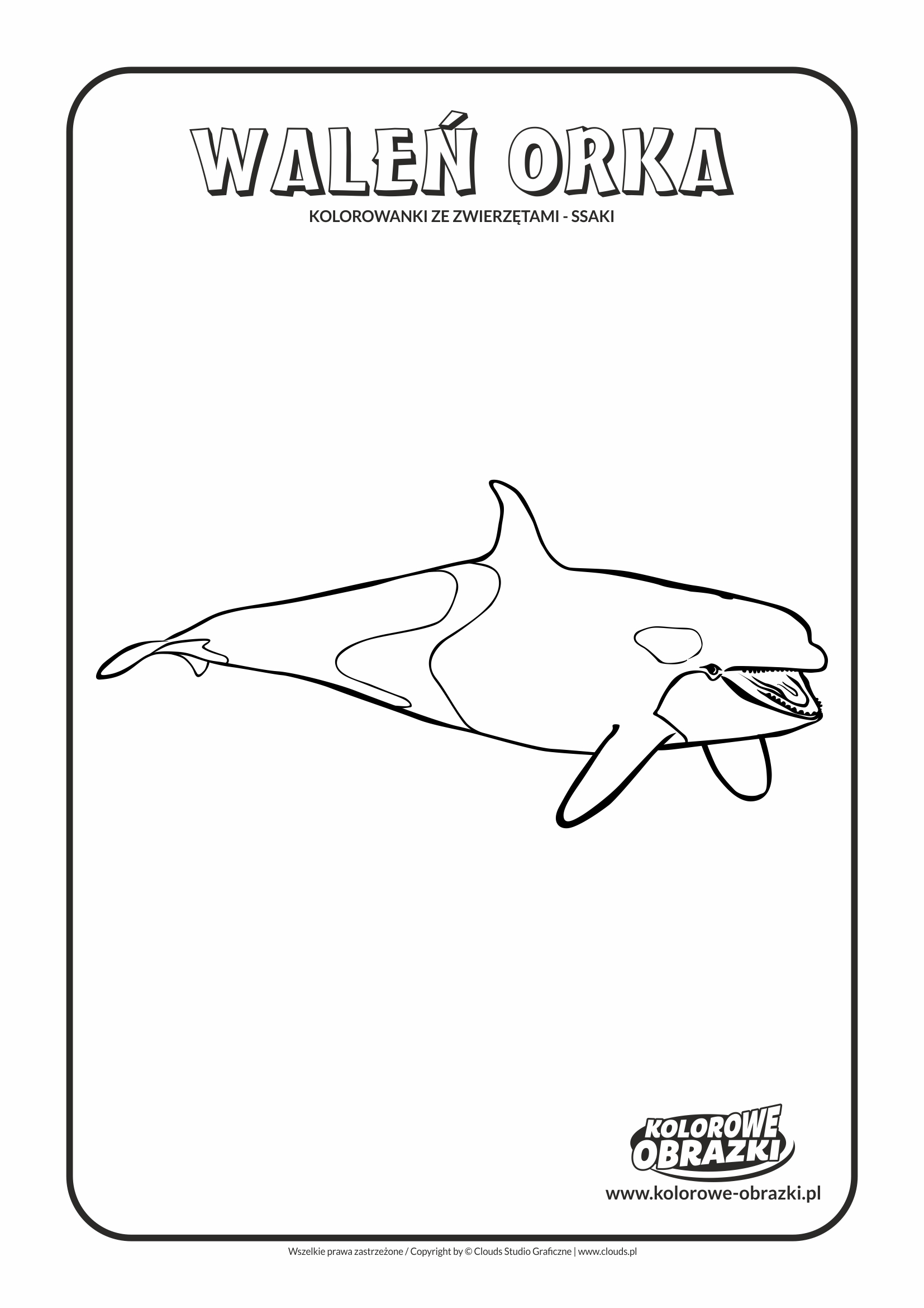 Kolorowanki dla dzieci - Zwierzęta / Waleń orka