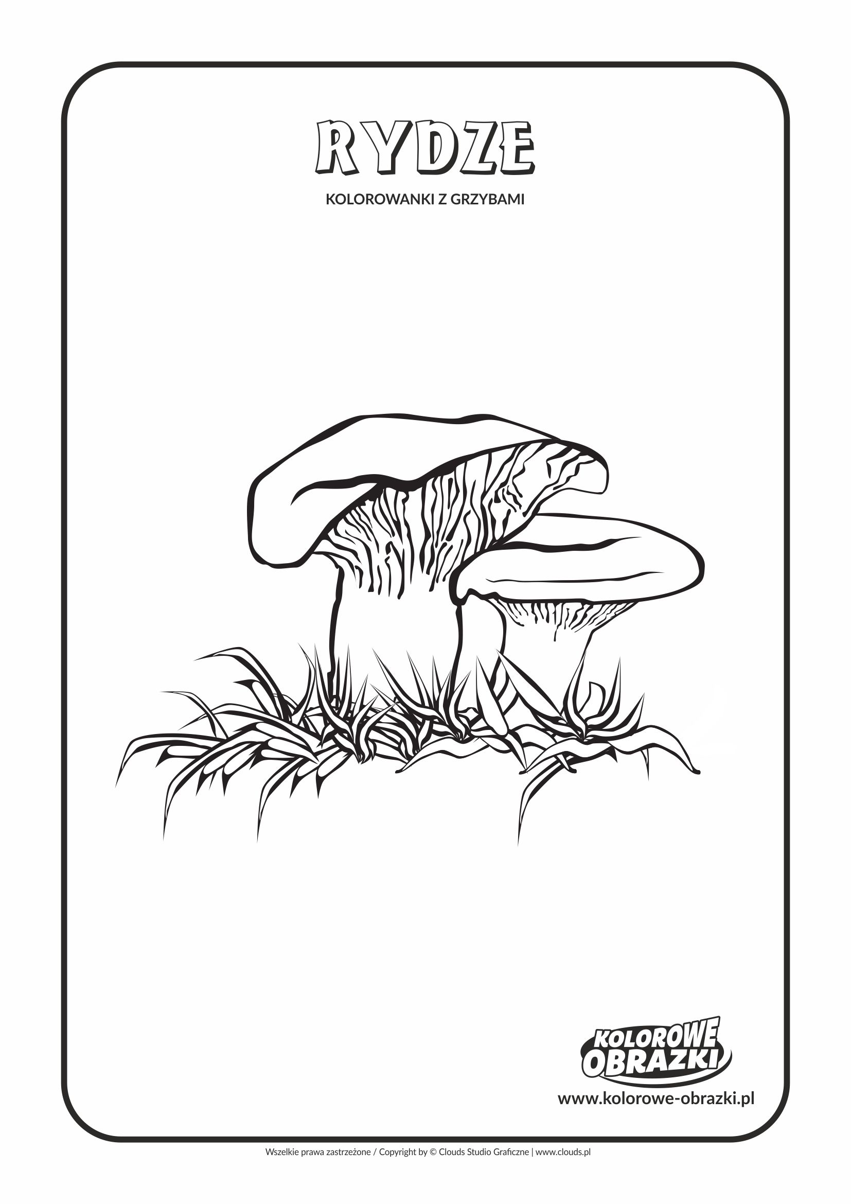 Kolorowanki dla dzieci - Rośliny / Rydze. Kolorowanka z rydzami