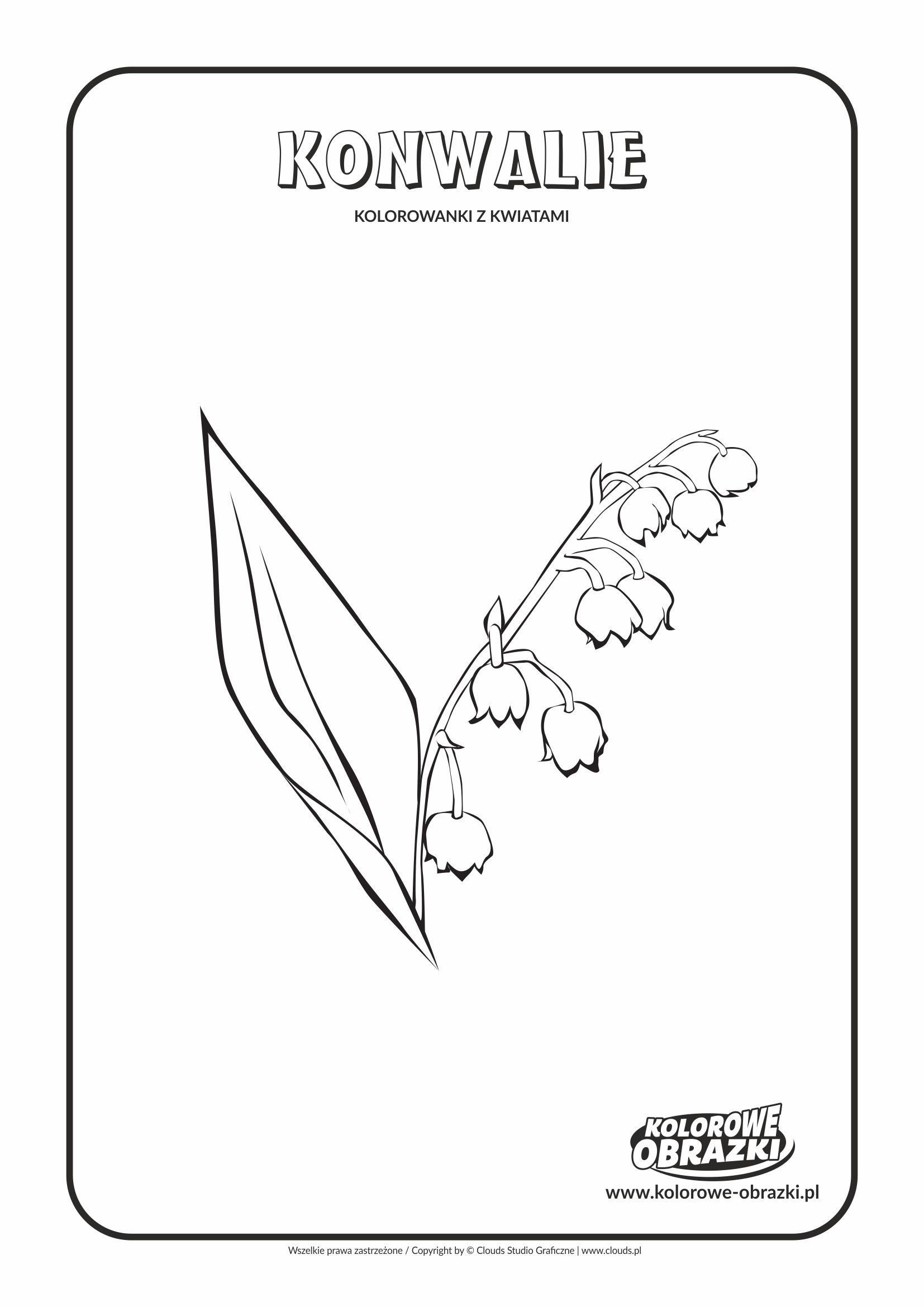Kolorowanki dla dzieci - Rośliny / Konwalie. Kolorowanka z konwaliami