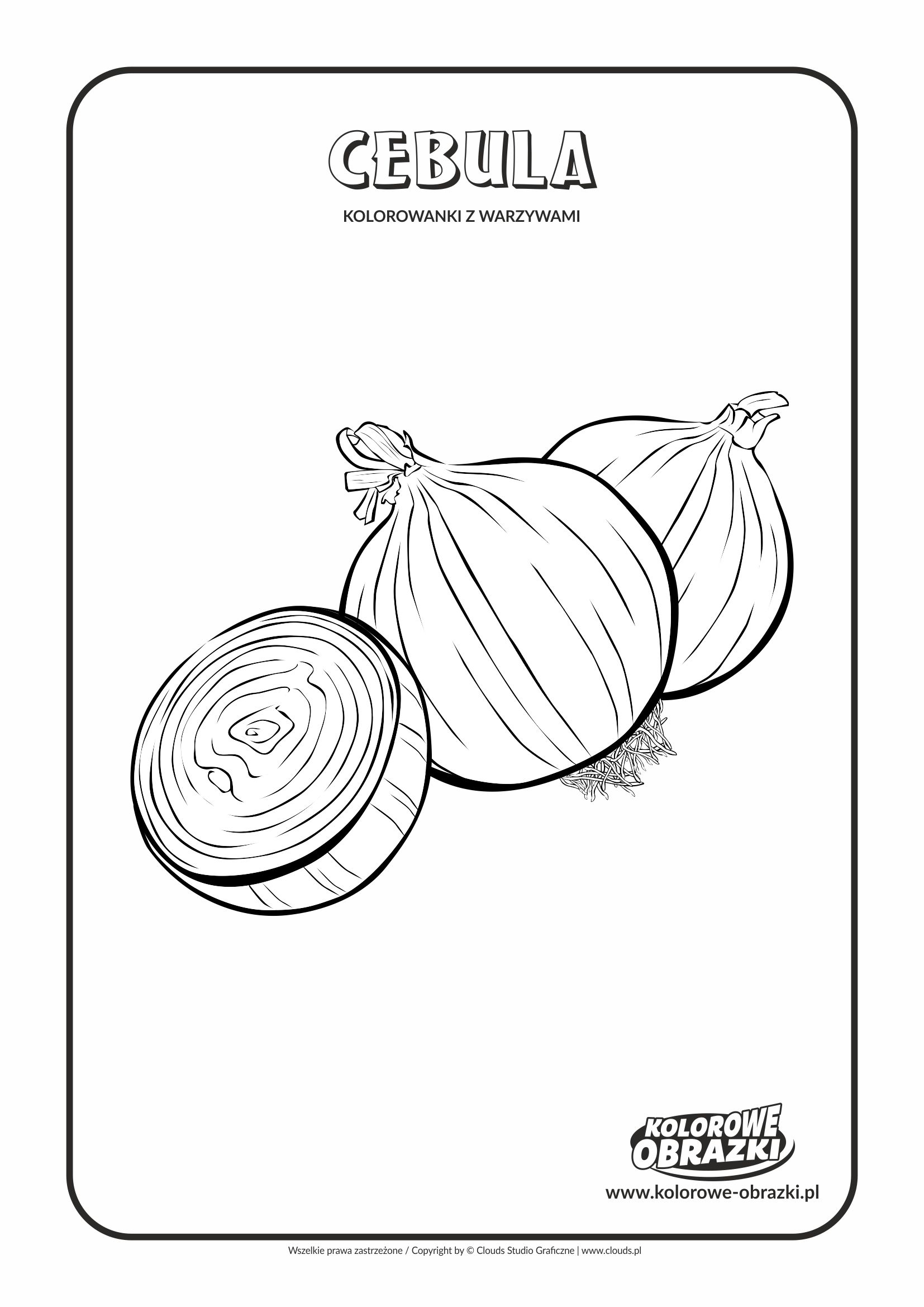 Kolorowanki dla dzieci - Rośliny / Cebula. Kolorowanka z cebulą