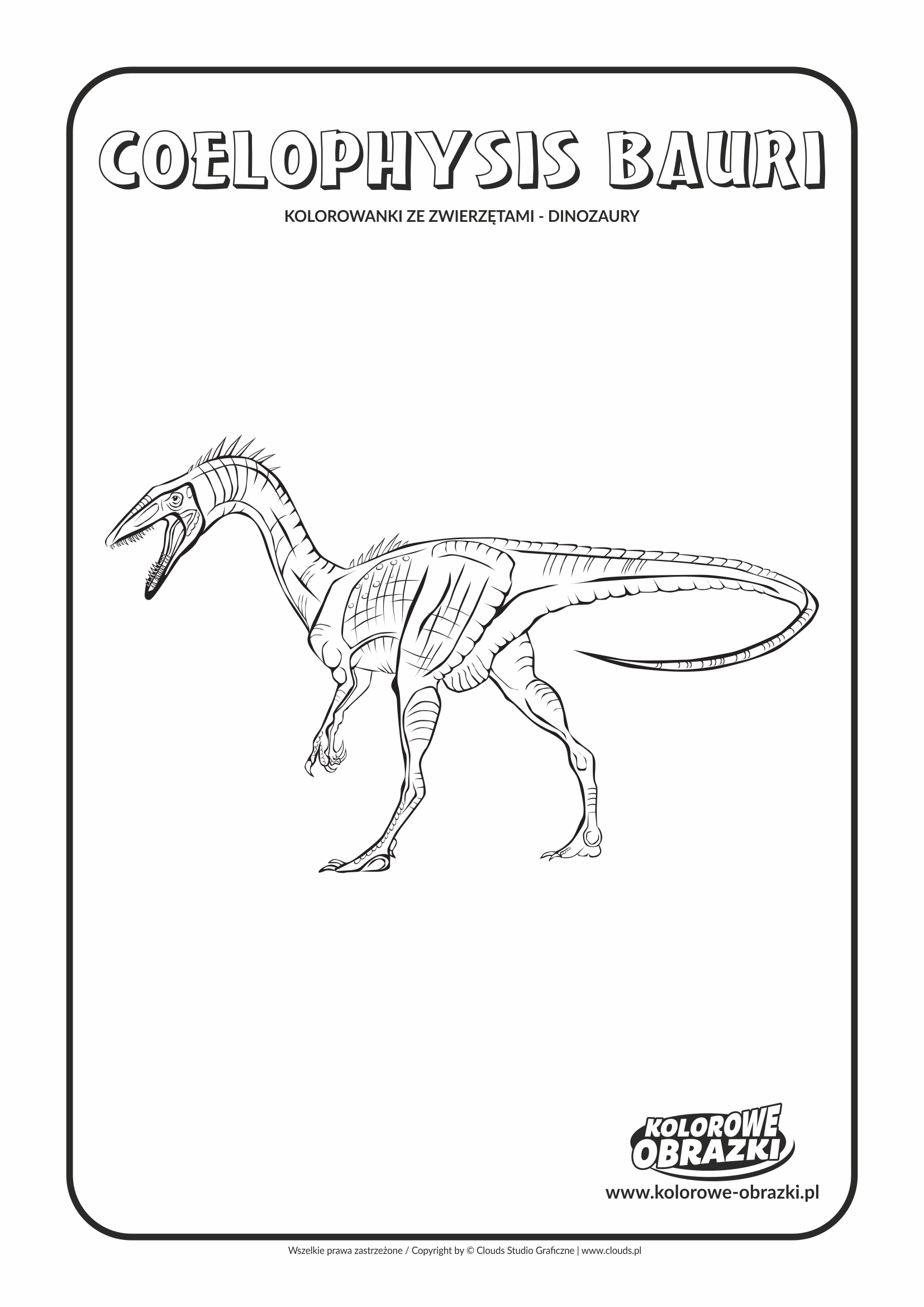 Kolorowanki dla dzieci - Zwierzęta / Coelophysis Bauri. Kolorowanka z Coelophysis Bauri