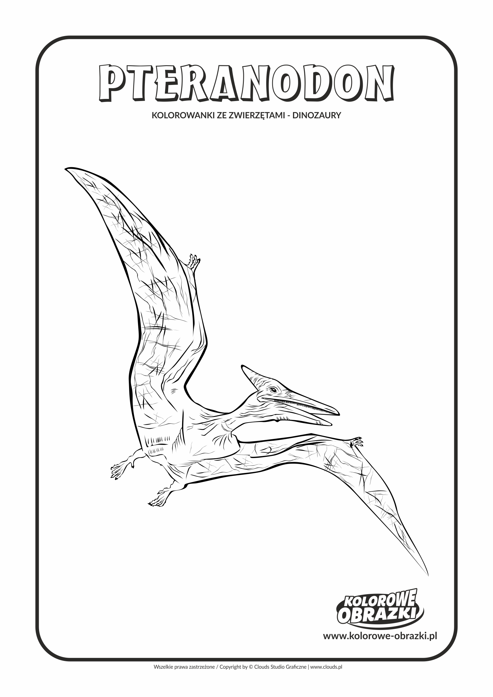 Kolorowanki dla dzieci - Zwierzęta / Pteranodon. Kolorowanka z pteranodonem