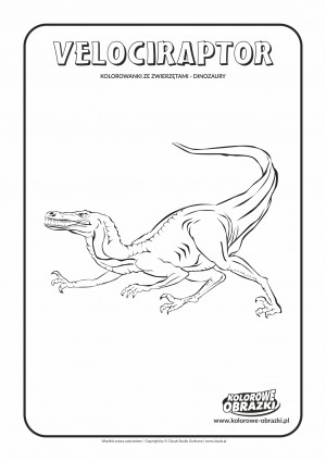 Kolorowanki dla dzieci - Zwierzęta / Velociraptor. Kolorowanka z Velociraptorem