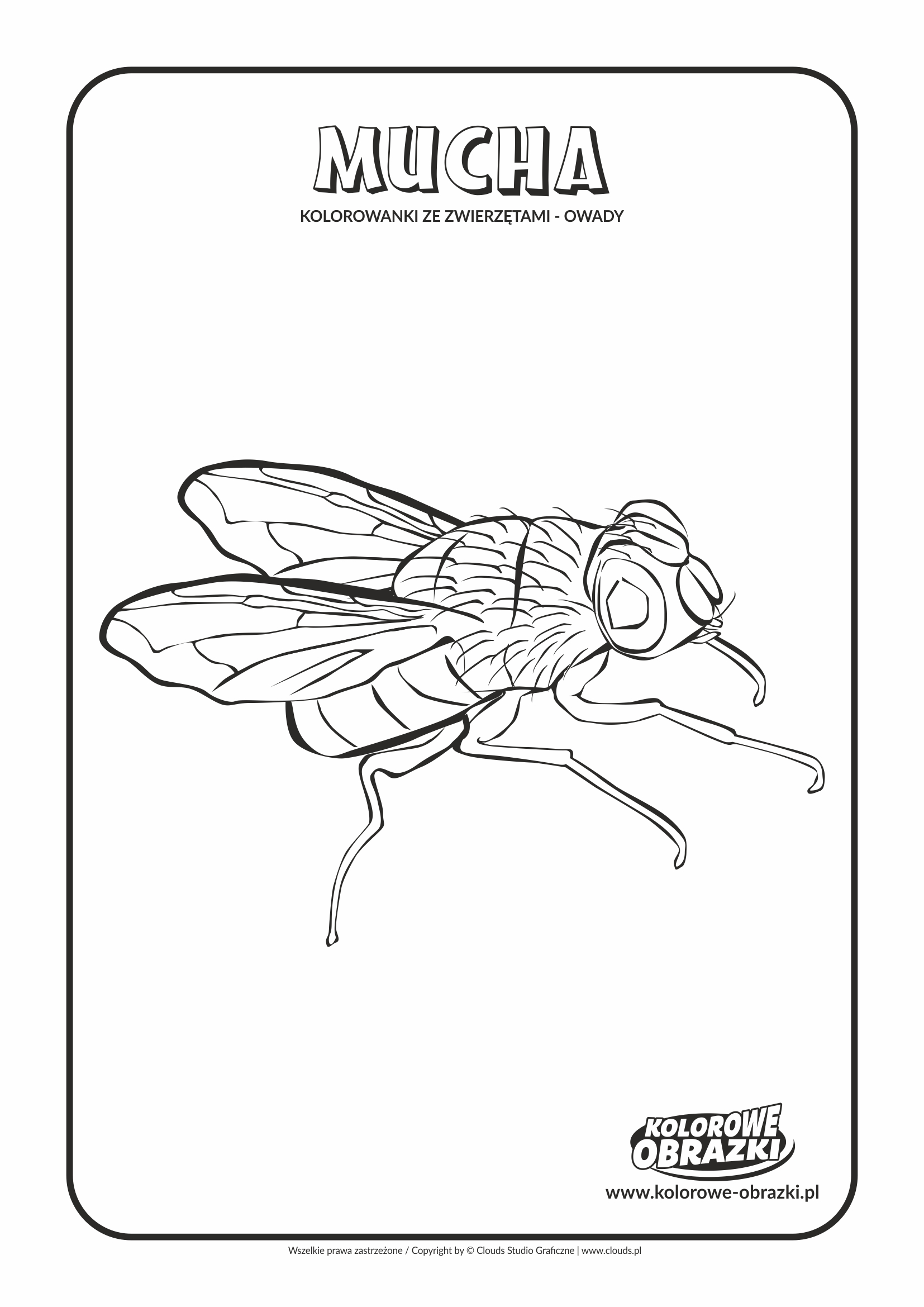 Kolorowanki dla dzieci - Zwierzęta / Mucha. Kolorowanka z muchą