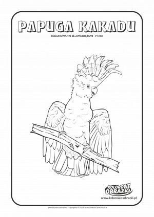 Kolorowanki dla dzieci - Zwierzęta / Papuga kakadu. Kolorowanka z papugą kakadu