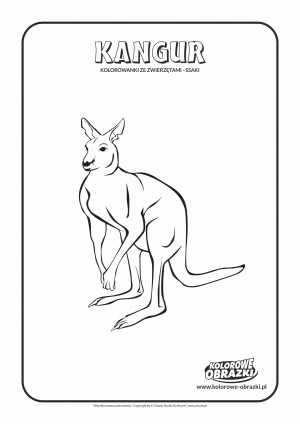 Kolorowanki dla dzieci - Zwierzęta / Kangur, Kolorowanka z kangurem
