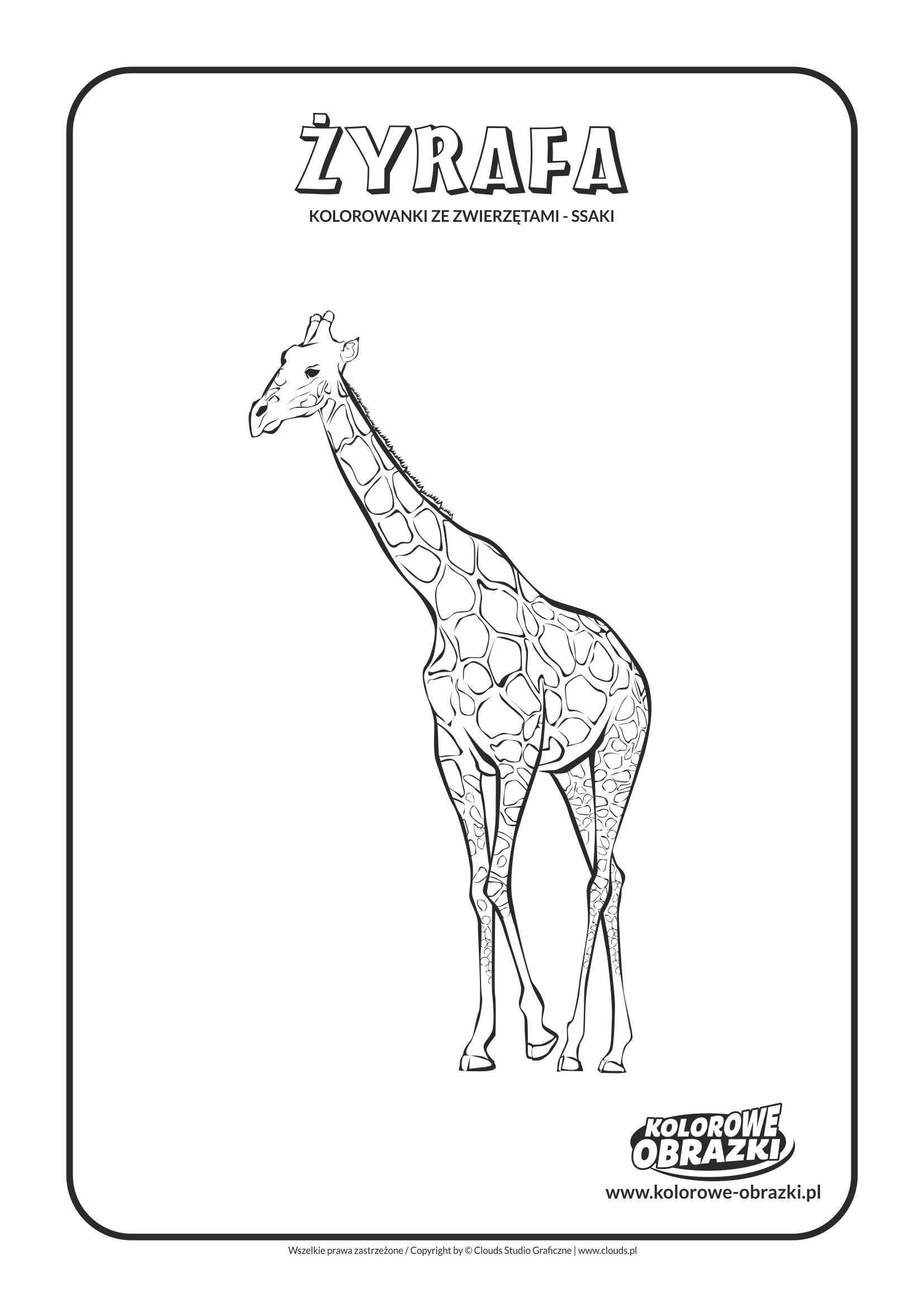 Kolorowanki dla dzieci - Zwierzęta / Żyrafa, Kolorowanka z żyrafą