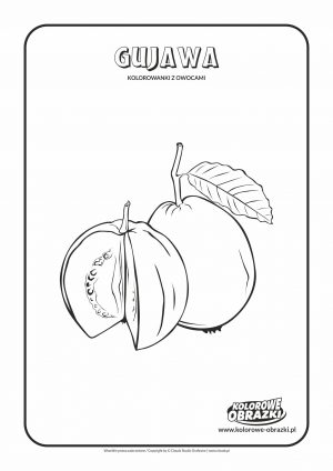 Kolorowanki dla dzieci - Rośliny / Gujawa. Kolorowanka z gujawą