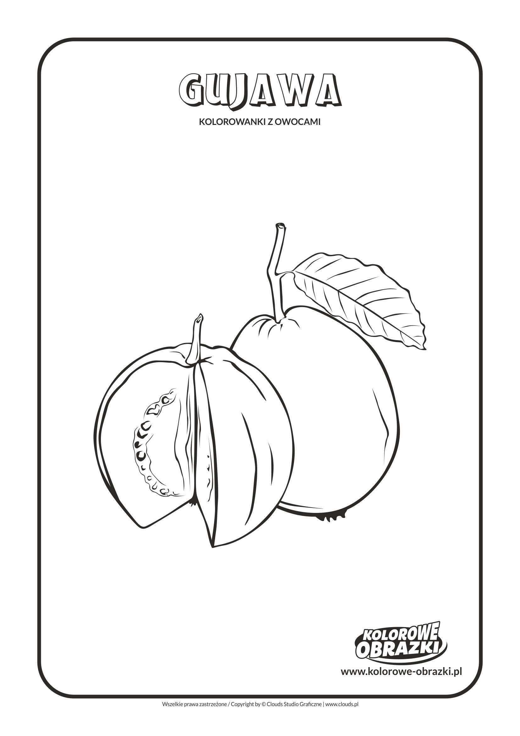 Kolorowanki dla dzieci - Rośliny / Gujawa. Kolorowanka z gujawą