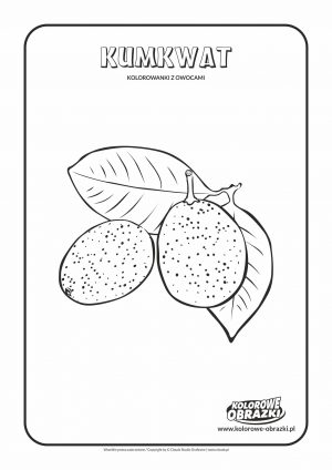 Kolorowanki dla dzieci - Rośliny / Kumkwat. Kolorowanka z kumkwatem