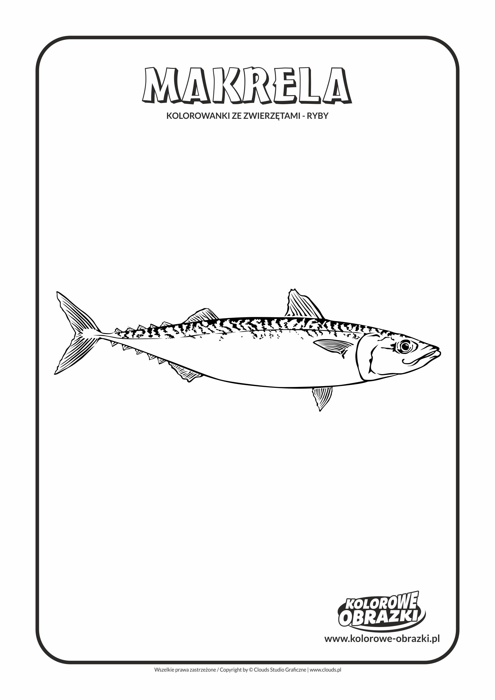 Kolorowanki dla dzieci - Zwierzęta / Makrela. Kolorowanka z makrelą
